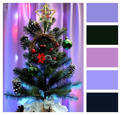 Holiday Season Christmas Tree Image